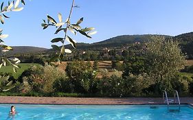 Il Pero Di Cetinale
