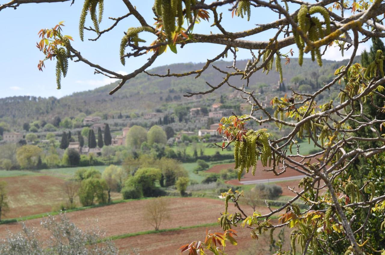 Villa Il Pero Di Cetinale Sovicille Exterior foto